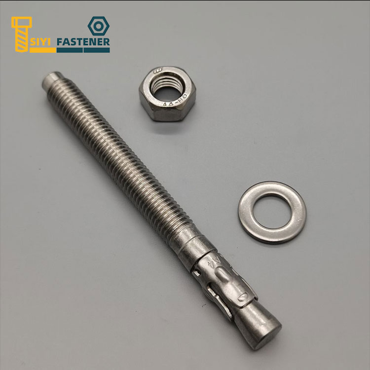 Stainless Steel 316 Wedge Anchor with Nut and Washer