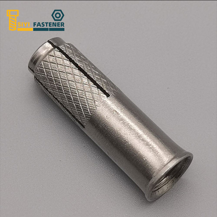 Stainless Steel Drop in Anchor with Knurling and Lip